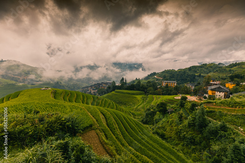 Landscape of terraced rice fields near Dazhai Village, Longji, China