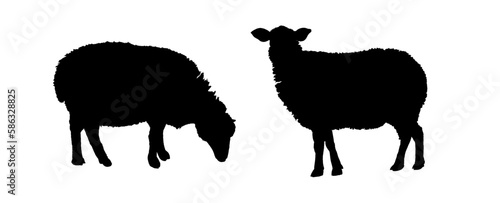 set of silhouettes of sheep	