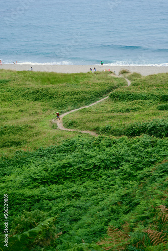 A person hiking up a path near the sea into a lush forest