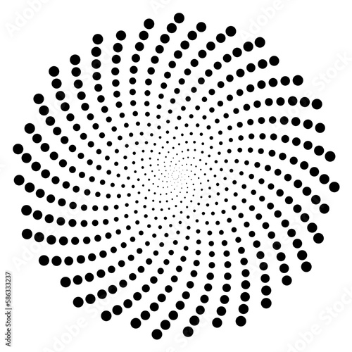 Fibonacci spiral patterns in vector. Mathematical morphology - visualization of phyllotaxis spiral types - code of nature - vector concept of mathematical function Cyanotype