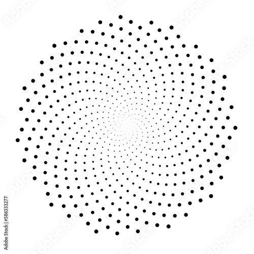 Fibonacci spiral patterns in vector. Mathematical morphology - visualization of phyllotaxis spiral types - code of nature - vector concept of mathematical function Cyanotype