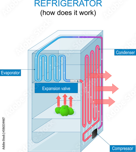 Refrigerator working principle. How does a fridge work