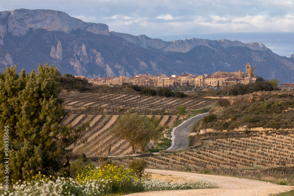 Laguardia among vineyards with the Sierra Cantabria in the background