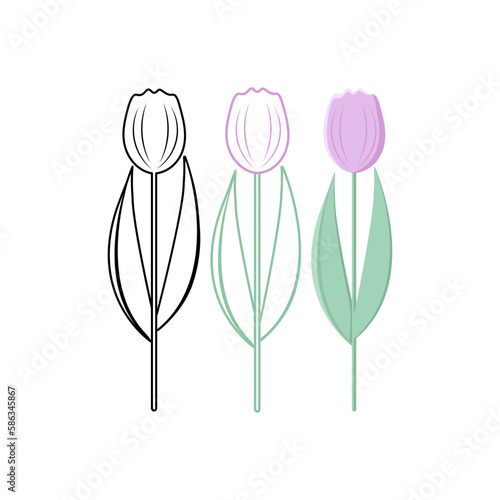 Illustration of tulip, set of icons from black to colorful. Vector. Drawing, coloring book, icon. © Olga