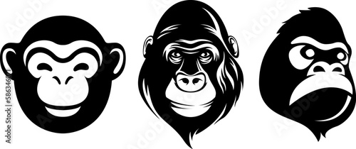 Hand drawn face of monkey. Gorilla illustration mascot art.