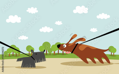 Dog's meeting.
Illustration of the dogs on a leashes are walking in the park