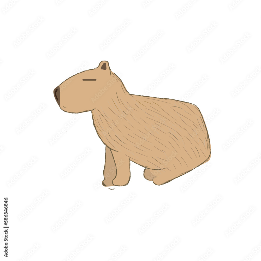 Cute cartoon capybara isolated on a white background. Vector illustration. Cute cartoon capybara isolated on a white background. Vector illustration.