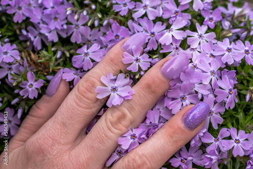 Close-up of well-groomed female nails with lilac and purple color gel. Beautiful clear fingers of a young girl with nice manicure. Girl hands immersed in nature above spring lilac flowers.