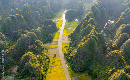 Aerial top view of fresh paddy rice and lake river, green agricultural fields with mountain hills valley in countryside or rural area of Ninh Binh, in Asia, Vietnam. Nature landscape background.