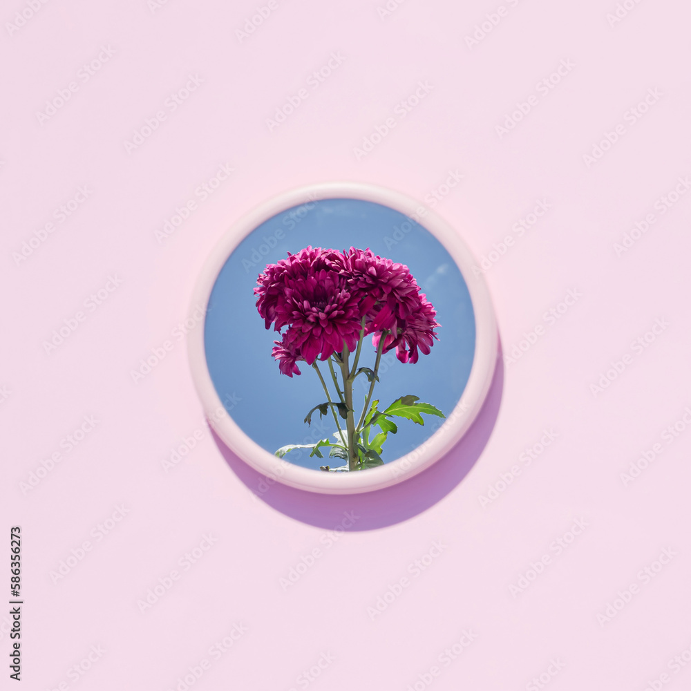 Fototapeta premium Beautiful purple flowers reflected in the mirror on a pink background. Summer aesthetic concept with place for text.