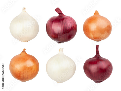 colorful onions path isolated on white
