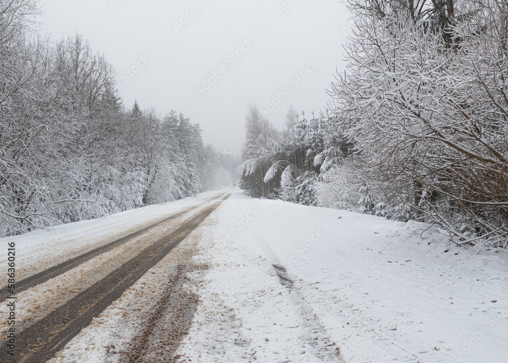 Fototapeta premium natural light. Forest in the snow. Snow-covered forest road.