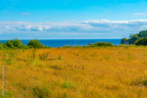 landscape of Stevns Klint in Denmark photo