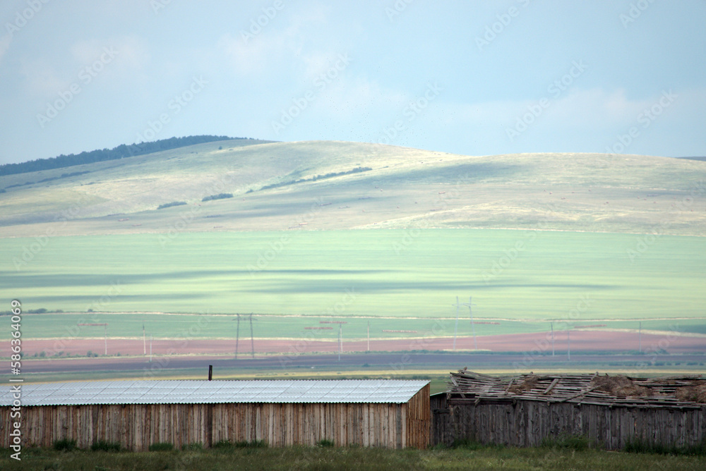 Hay meadows, Khakassia, Russia. Dividing green hills through fields.