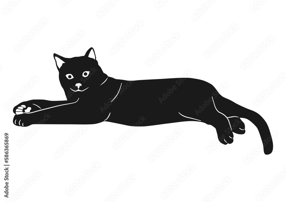 Silhouette of a cat. Vector build with two curves: black and white.