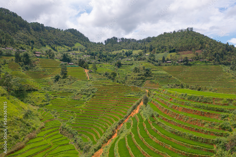 Aerial top view of fresh paddy rice terraces, green agricultural fields in countryside or rural area of Mu Cang Chai, mountain hills valley in Asia, Vietnam. Nature landscape background. Aerial top view of fresh paddy rice terraces, green agricultural fields in countryside or rural area of Mu Cang Chai, mountain hills valley in Asia, Vietnam. Nature landscape background.