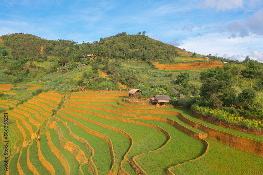 Aerial top view of fresh paddy rice terraces, green agricultural fields in countryside or rural area of Mu Cang Chai, mountain hills valley in Asia, Vietnam. Nature landscape background. Aerial top view of fresh paddy rice terraces, green agricultural fields in countryside or rural area of Mu Cang Chai, mountain hills valley in Asia, Vietnam. Nature landscape background.