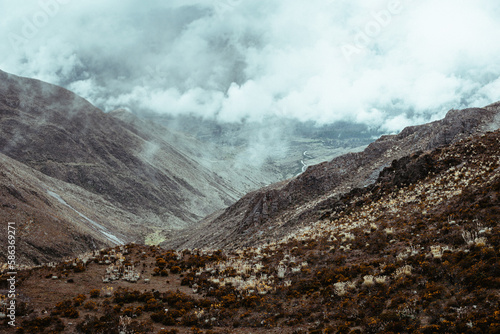 photos of the mountains, páramos, lagoon Mucubaji and frailejones of the Sierra Nevada national park in Mérida Venezuela, photo