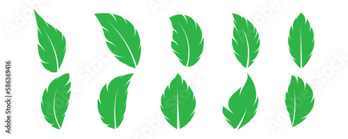 set of green leaves iconsset of green leaves icons