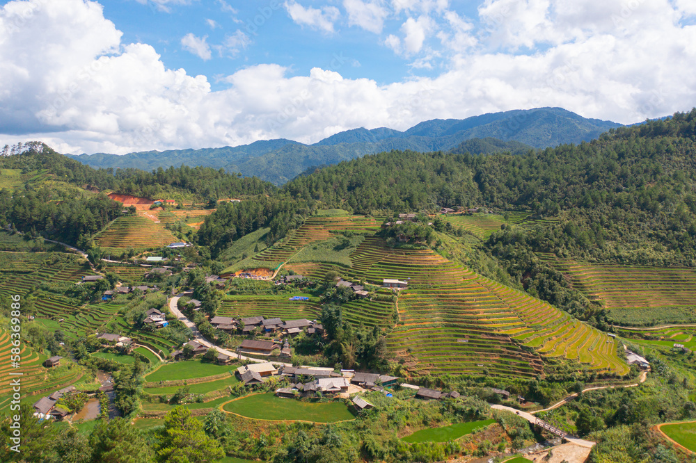 Naklejka premium Aerial top view of fresh paddy rice terraces, green agricultural fields in countryside or rural area of Mu Cang Chai, mountain hills valley in Asia, Vietnam. Nature landscape background.