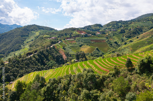 Aerial top view of fresh paddy rice terraces  green agricultural fields in countryside or rural area of Mu Cang Chai  mountain hills valley in Asia  Vietnam. Nature landscape background.