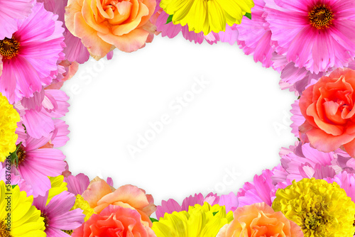Wallpaper Mural beautiful zinnia flower frame blooming in cutout transparent background Torontodigital.ca