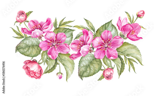 Fototapeta Naklejka Na Ścianę i Meble -   Watercolor illustration sakura. Spring flowers on white background 