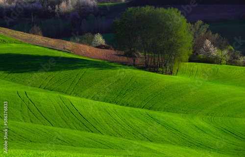 Monferrato Alessandrino - Fubine photo