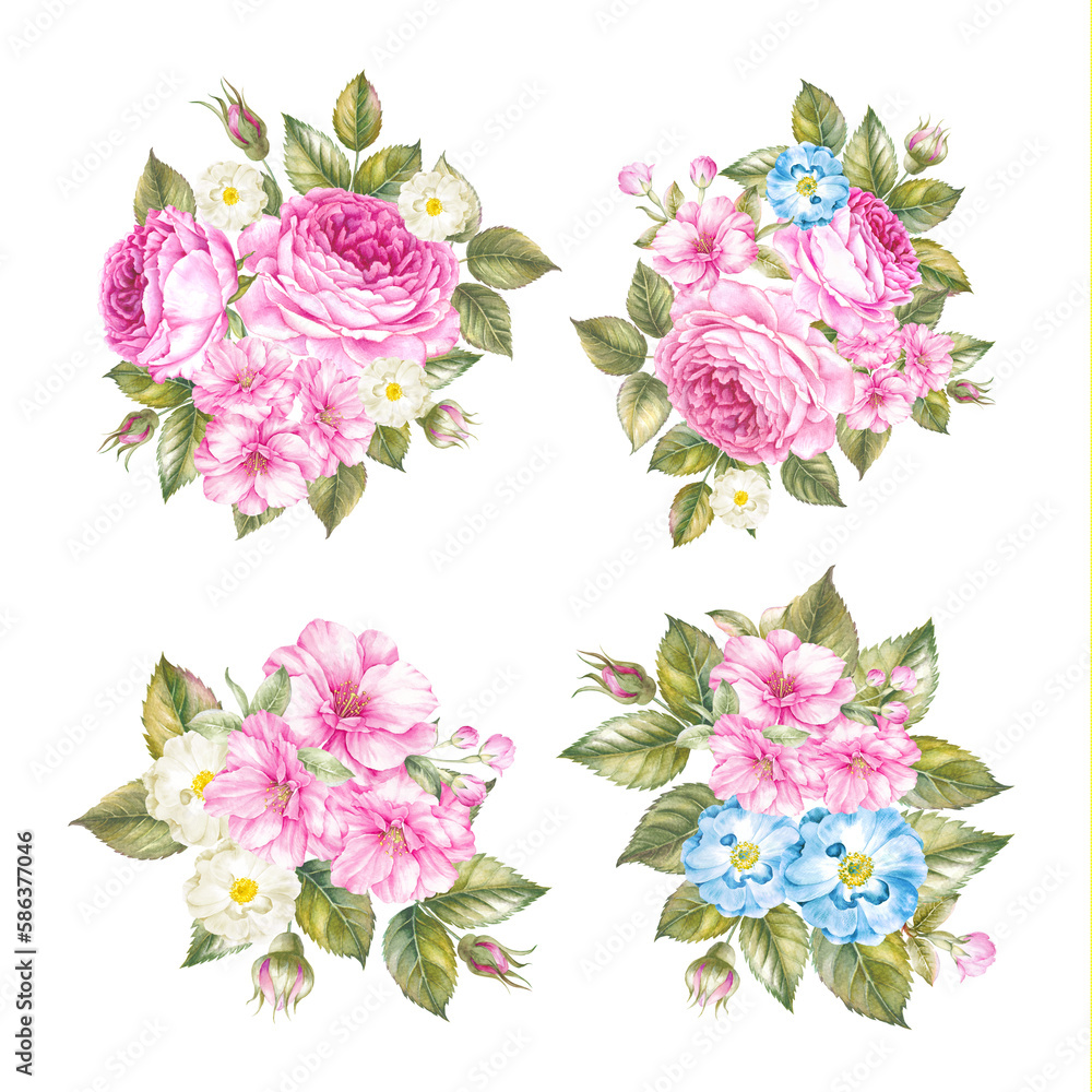 Rose elegant watercolor flower. Pink bouquet illustration