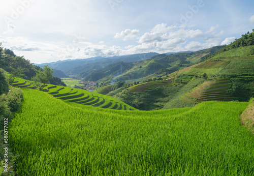 Aerial top view of fresh paddy rice terraces  green agricultural fields in countryside or rural area of Mu Cang Chai  mountain hills valley in Asia  Vietnam. Nature landscape background.