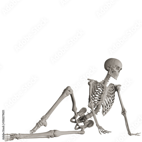 skeleton posing 3d render illustration