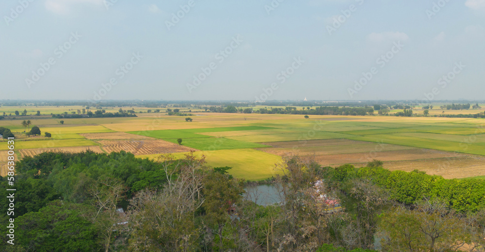 Aerial top view of fresh paddy rice, green agricultural field in countryside or rural area in Asia. Nature landscape background. Aerial top view of fresh paddy rice, green agricultural field in countryside or rural area in Asia. Nature landscape background.