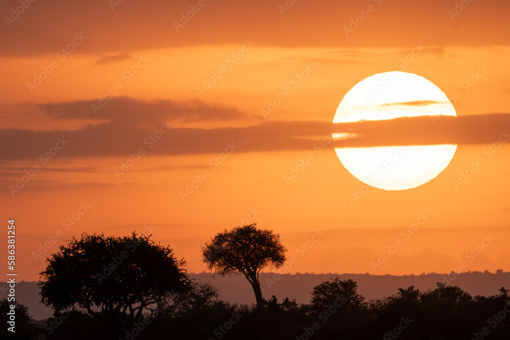 Sunrise in the Masai Mara of Kenya Africa, featuring a colorful orange sky and large sun
