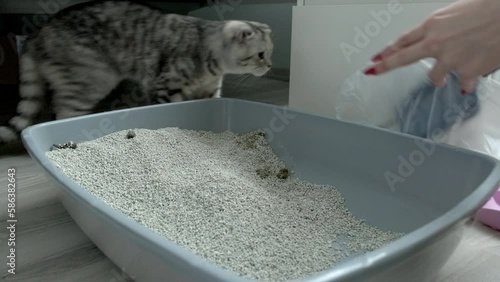 4K footage of moments when the cat litter is being cleaned.