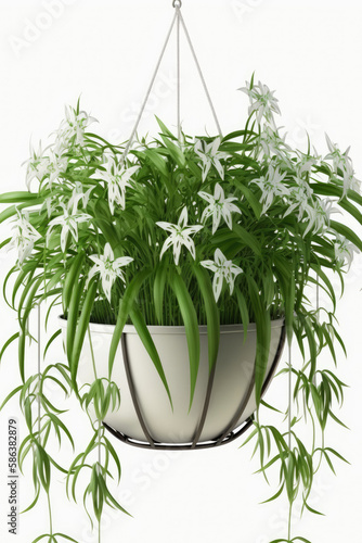 hanging white flower pot with a green plant with narrow leaves and delicate white flowers created with Generative AI technology