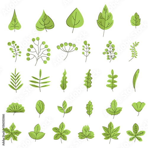 Set of leaves of various trees and plants  Vector graphics  forest tree leaves