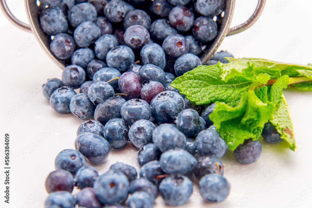 A colender of fresh blueberries and mint A colender of fresh blueberries and mint