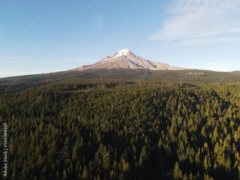 Obraz premium Mt. Hood Oregon