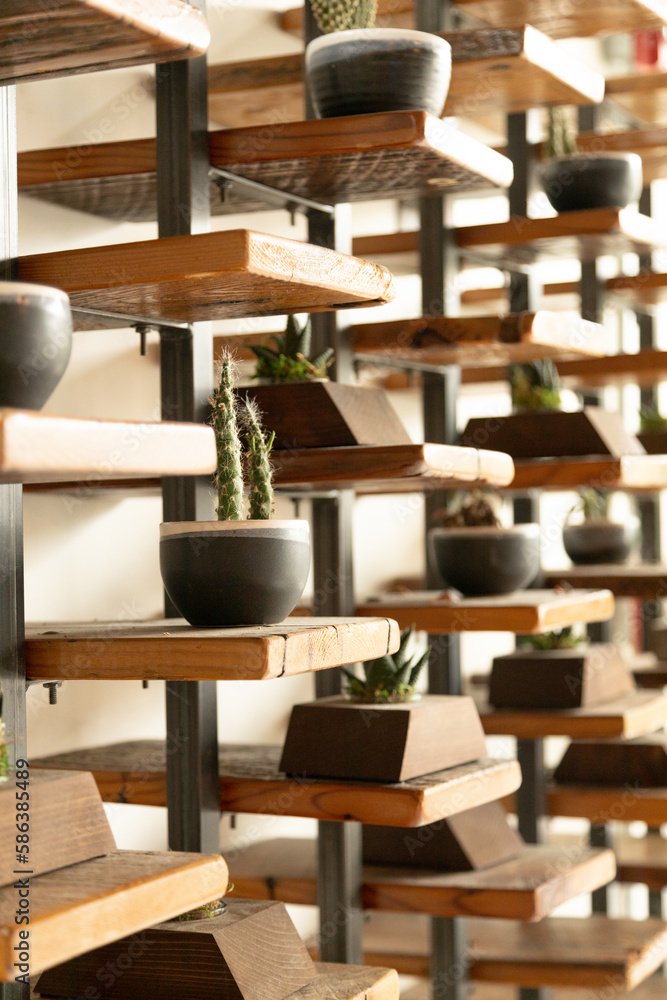 Succulents on wood & steel shelves in a coffee shop