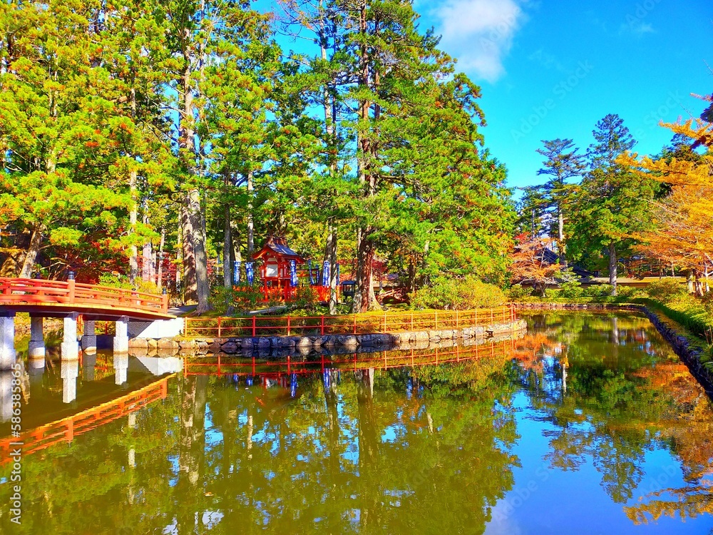 日本の和歌山県の観光地、世界遺産高野山の日本庭園の池と紅葉が美しい秋の風景（コピースペースあり）
