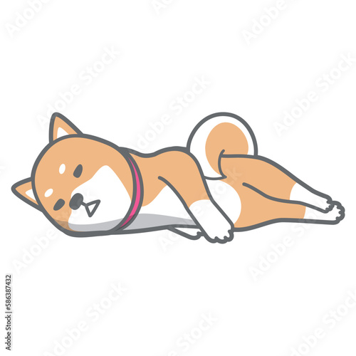 お昼寝中の柴犬のベクターイラスト