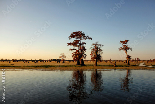 Bayou and cypress trees at sunset time near Henderson, Louisiana. Part of the Atchafalaya basin. photo