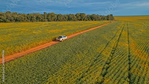 Farmer driving pickup truck in soy farm