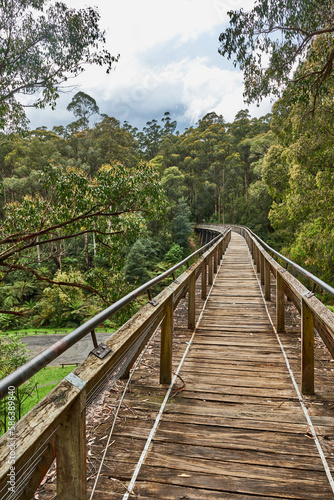 The Noojee Trestle Bridge is an impressive 100-metre long (330 ft) trestle bridge. The trail follows the alignment of the former Noojee railway line.