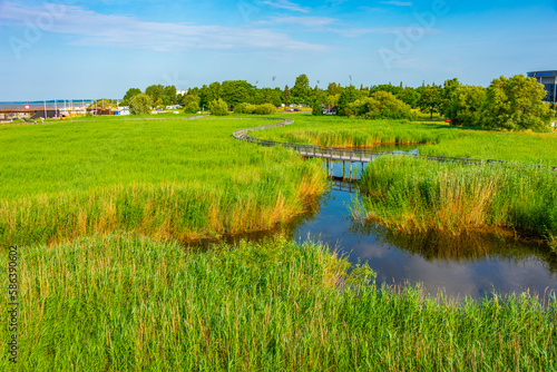 Pärnu coastal meadow hiking trail, Estonia photo