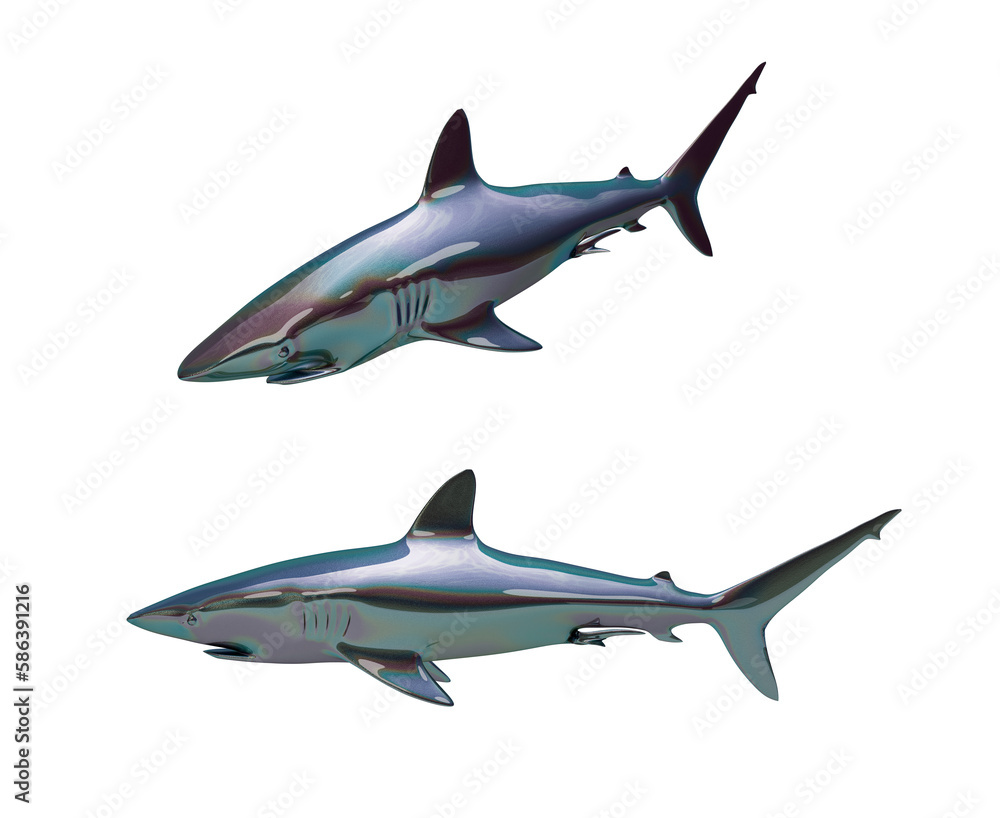 3D Rendering, Illustration Water Animal 3D Rendering, Illustration Water Animal