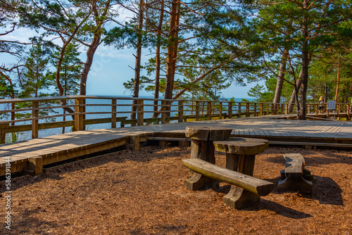 Forest trail at Saulkrasti sand dunes in Latvia photo