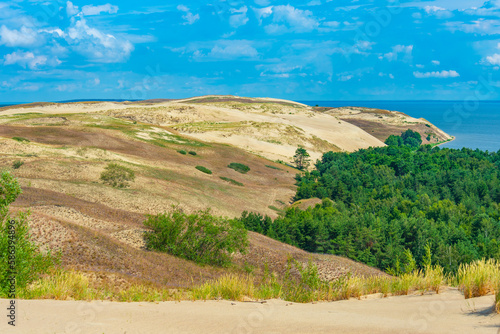 Tableau sur toile Nagliai dune at Curonian spit in Lithuania