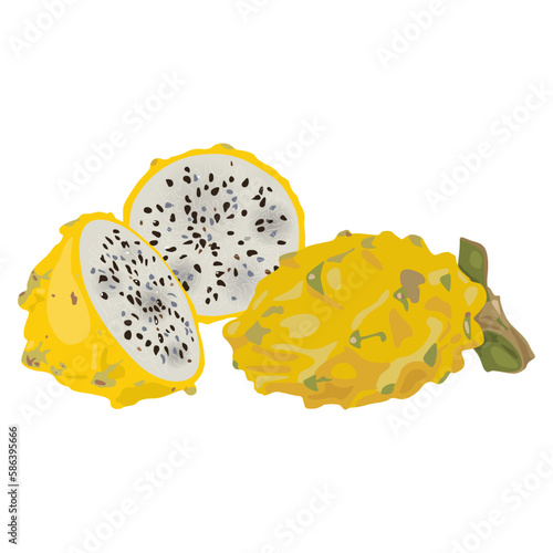 Cut and whole fresh Yellow Dragon Fruit or Pitaya. Pitahaya cactus. Selenicereus megalanthus. Isolated vector illustration.