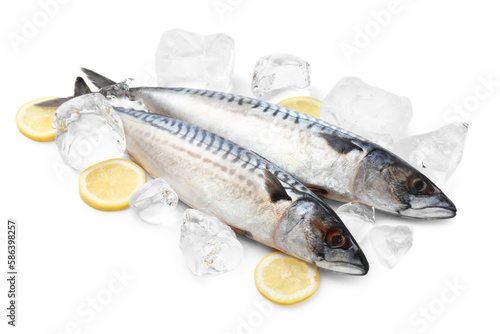 Two raw mackerels and lemons isolated on white